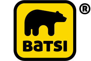 bg-logo
